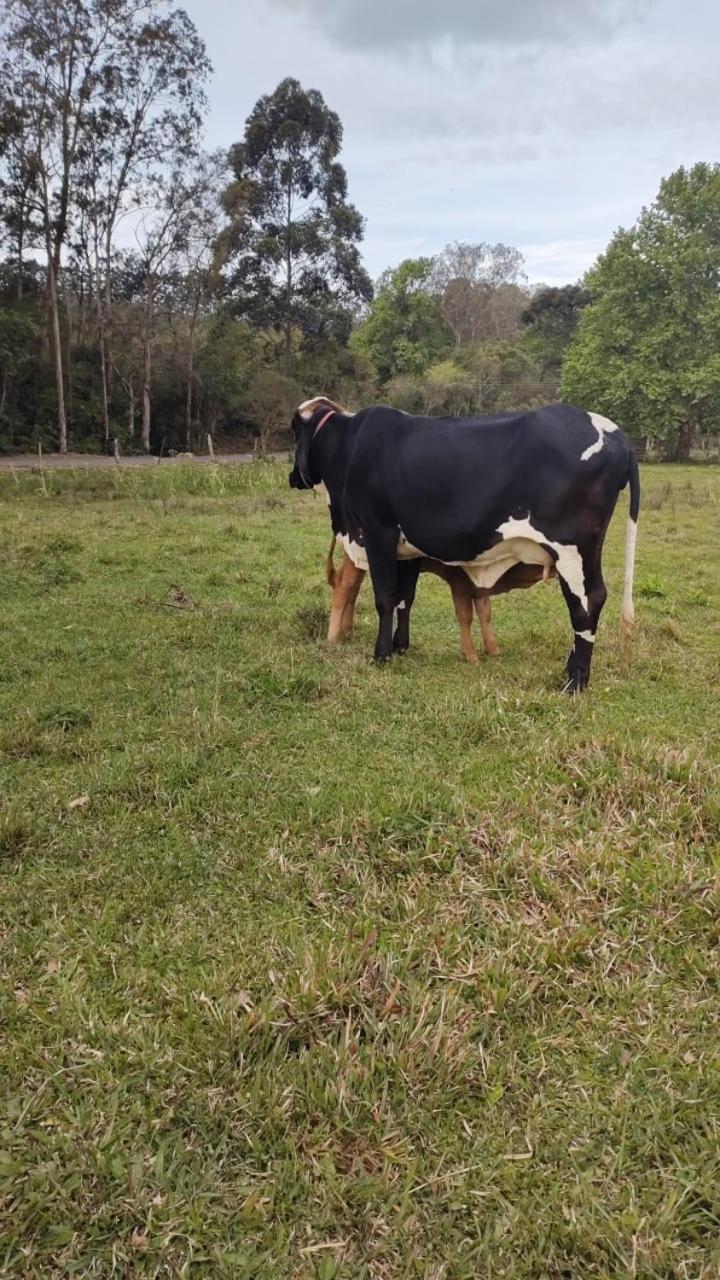 Pousada Rancho Do Lago أوسوريو المظهر الخارجي الصورة